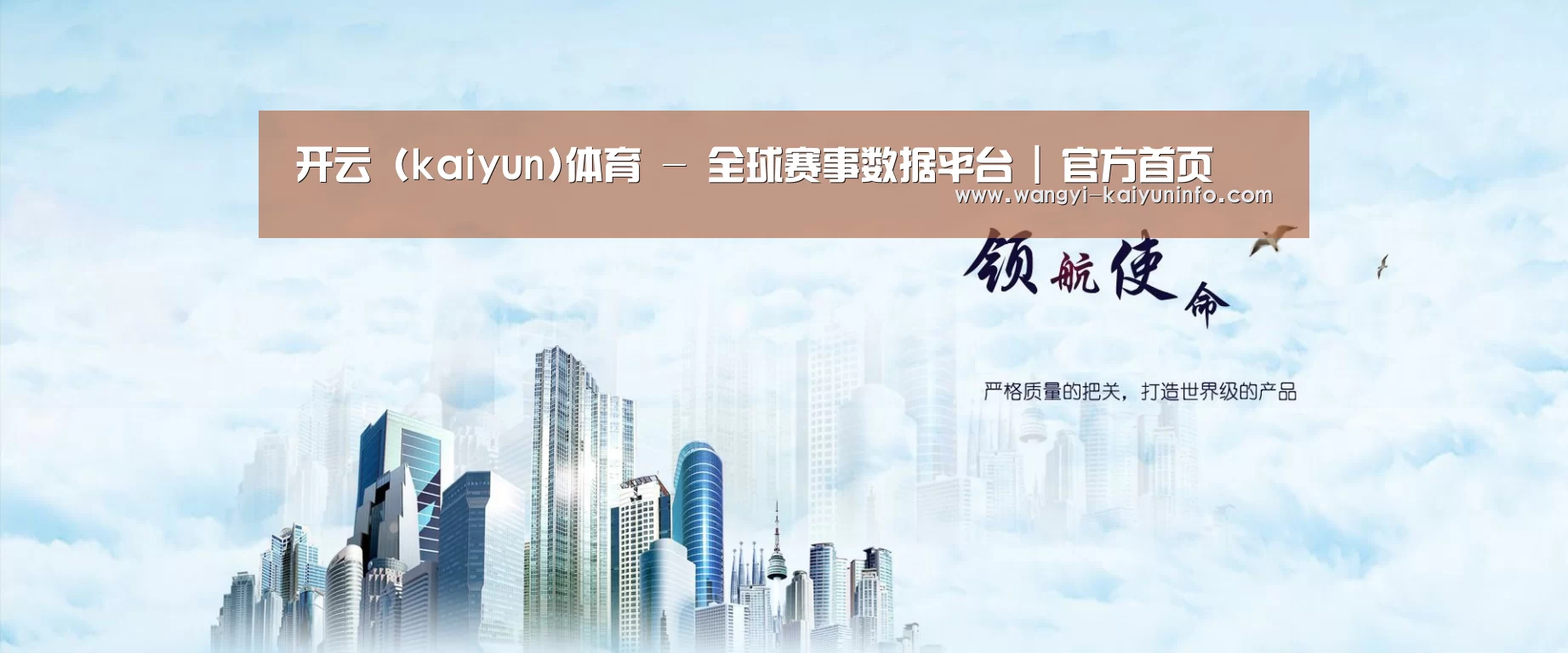 开云体育公司