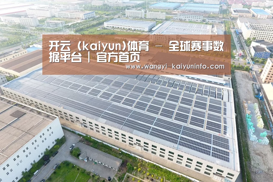 案例展示一