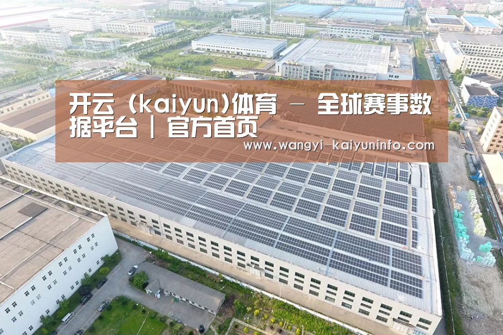 案例展示二
