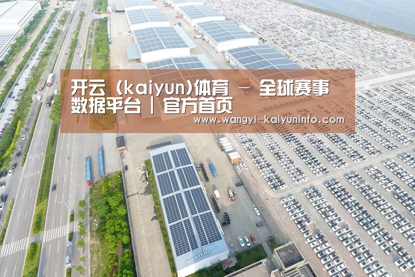 案例展示一