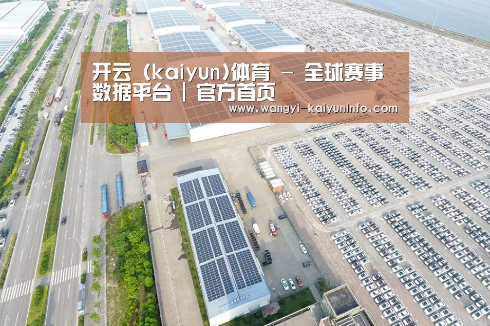 案例展示三